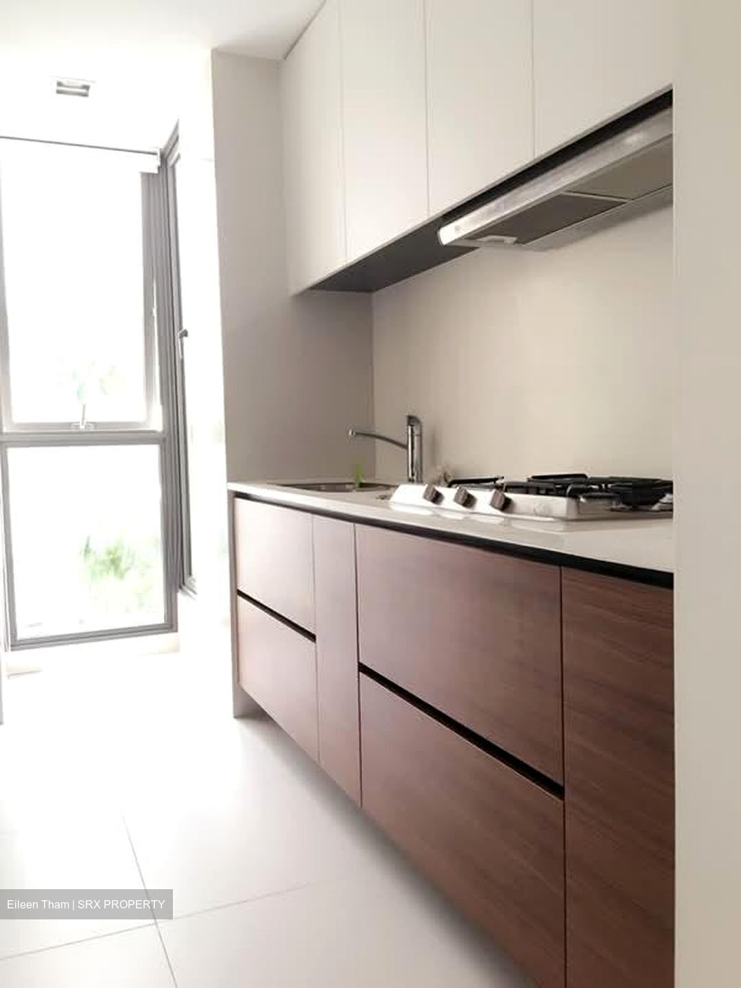 The Miltonia Residences (D27), Condominium #563227171